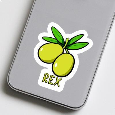 Olive Sticker Rex Notebook Olive Sticker Rex Notebook Image