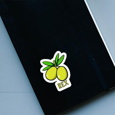 Olive Sticker Rex Notebook Olive Sticker Rex Gift package Image