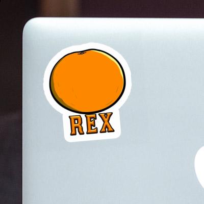 Rex Autocollant Orange Notebook Rex Autocollant Orange Gift package Image