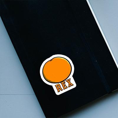 Rex Autocollant Orange Notebook Rex Autocollant Orange Notebook Image