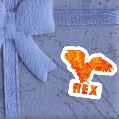 Hibou Autocollant Rex Notebook Hibou Autocollant Rex Gift package Image