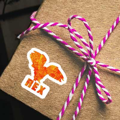 Sticker Eule Rex Gift package Image