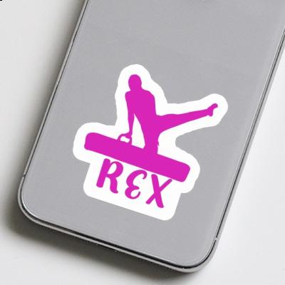 Rex Sticker Gymnast Notebook Rex Sticker Gymnast Gift package Image