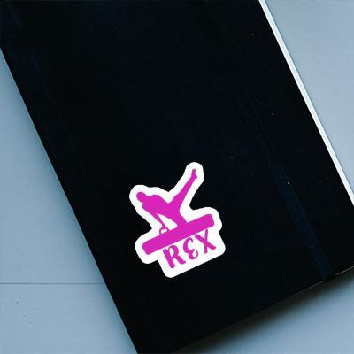 Rex Sticker Gymnast Notebook Rex Sticker Gymnast Gift package Image