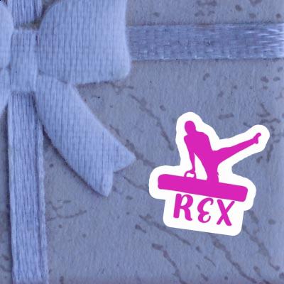 Rex Sticker Gymnast Notebook Rex Sticker Gymnast Notebook Image