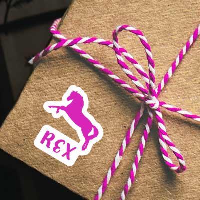 Rex Sticker Horse Notebook Rex Sticker Horse Gift package Image
