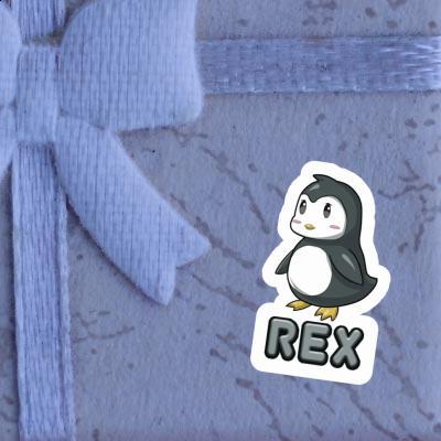 Autocollant Rex Pingouin Notebook Autocollant Rex Pingouin Gift package Image