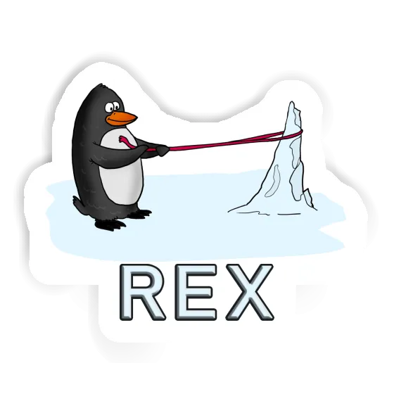 Autocollant Pingouin Rex Notebook Autocollant Pingouin Rex Gift package Image