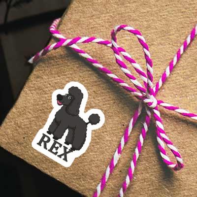 Rex Aufkleber Pudel Gift package Image