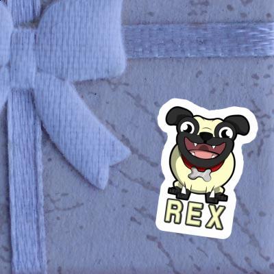 Sticker Mops Rex Gift package Image