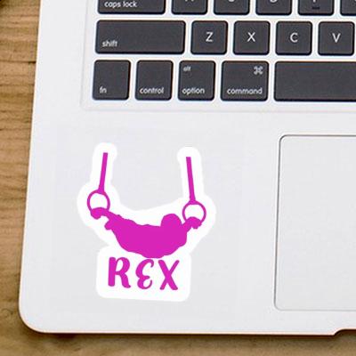 Autocollant Rex Gymnaste aux anneaux Gift package Image