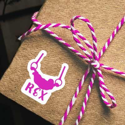 Autocollant Rex Gymnaste aux anneaux Image