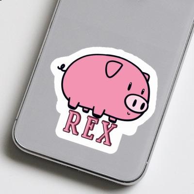 Schwein Aufkleber Rex Schwein Aufkleber Rex Image