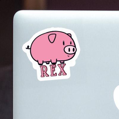 Schwein Aufkleber Rex Notebook Schwein Aufkleber Rex Notebook Image