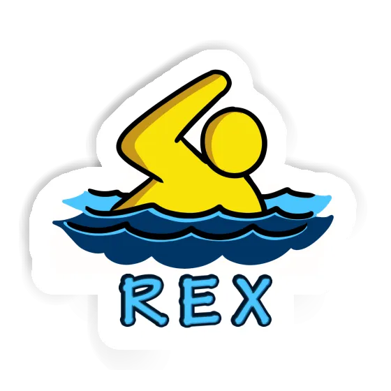 Autocollant Rex Flotteur Gift package Image