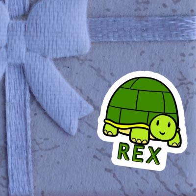 Rex Aufkleber Schildkröte Notebook Image