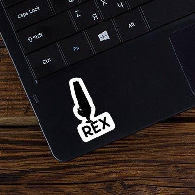 Autocollant Windsurfer Rex Laptop Autocollant Windsurfer Rex Laptop Image
