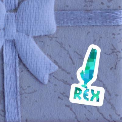 Aufkleber Windsurfer Rex Notebook Aufkleber Windsurfer Rex Gift package Image