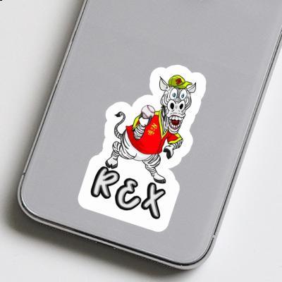 Sticker Rex Baseballspieler Notebook Sticker Rex Baseballspieler Gift package Image