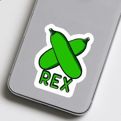 Sticker Rex Zucchini Laptop Image