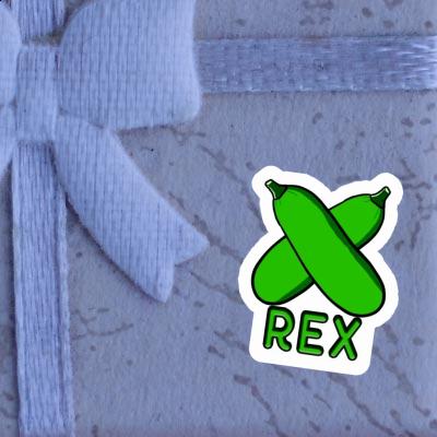 Sticker Rex Zucchini Gift package Image