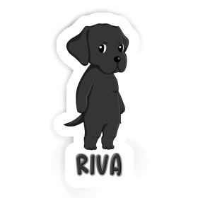 Labrador Retriever Sticker Riva Image