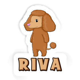 Aufkleber Riva Pudel Image