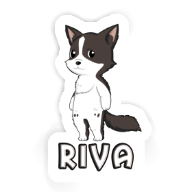 Riva Sticker Border Collie Image