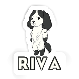 English Cocker Spaniel Aufkleber Riva Image