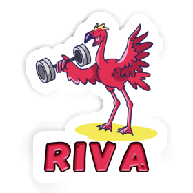 Riva Autocollant Haltérophilie Image