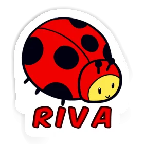 Riva Autocollant Coccinelle Image