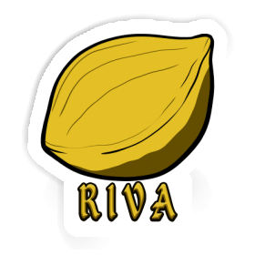 Riva Autocollant Noix Image