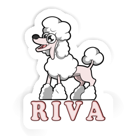 Aufkleber Pudel Riva Image