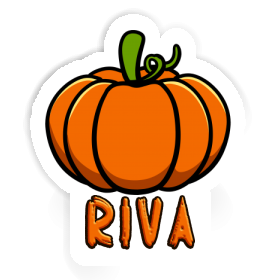 Autocollant Riva Courge Image
