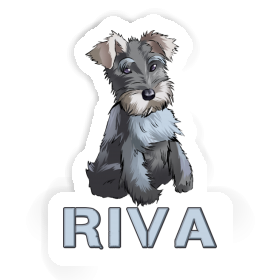 Aufkleber Schnauzer Riva Image
