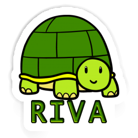 Sticker Turtle Riva Image