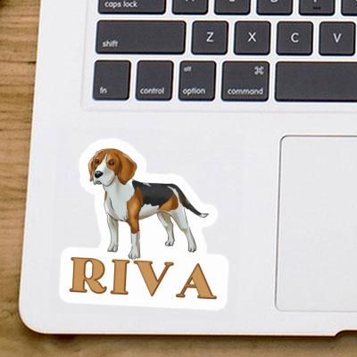 Beagle Autocollant Riva Notebook Beagle Autocollant Riva Gift package Image