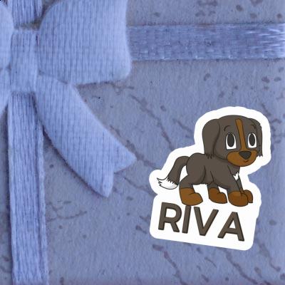 Sennenhund Sticker Riva Sennenhund Sticker Riva Image