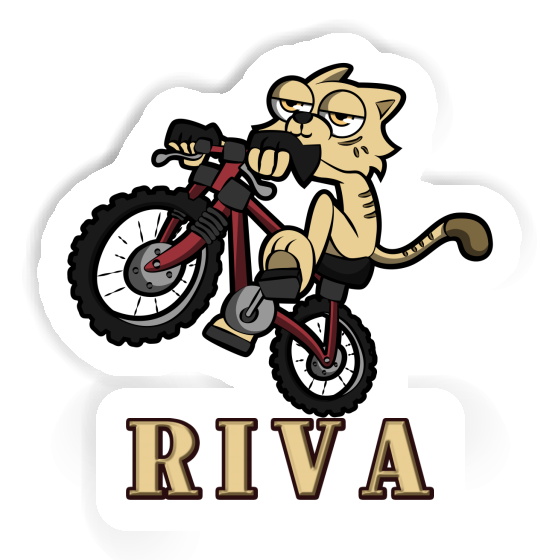 Autocollant Chat Riva Notebook Autocollant Chat Riva Gift package Image