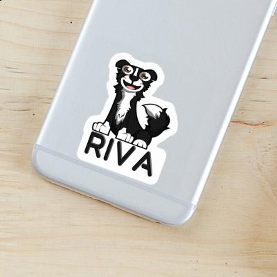 Sticker Border Collie Riva Notebook Sticker Border Collie Riva Gift package Image