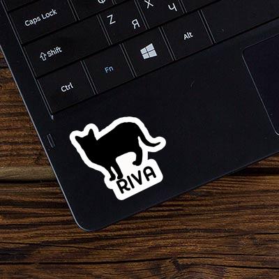 Autocollant Chat Riva Notebook Image