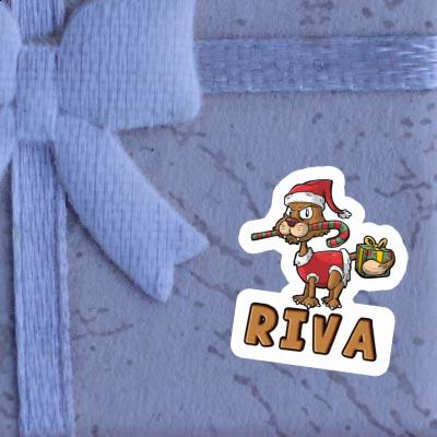 Katze Sticker Riva Notebook Katze Sticker Riva Gift package Image
