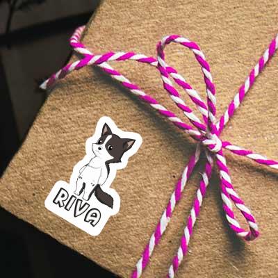 Riva Sticker Border Collie Notebook Riva Sticker Border Collie Gift package Image