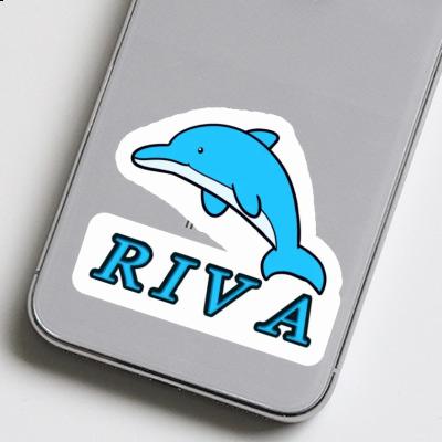 Dauphin Autocollant Riva Gift package Image