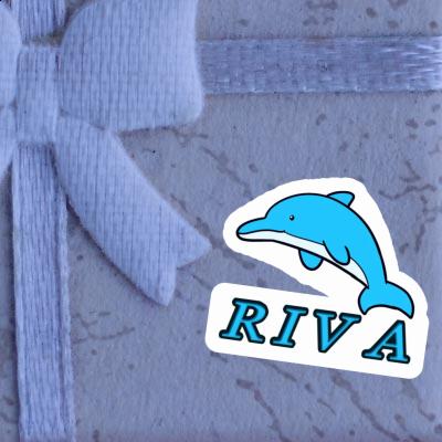 Dauphin Autocollant Riva Gift package Image