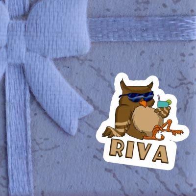 Cool Owl Sticker Riva Cool Owl Sticker Riva Image