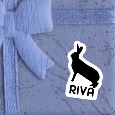 Aufkleber Kaninchen Riva Laptop Image