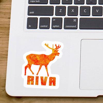 Sticker Deer Riva Notebook Sticker Deer Riva Notebook Image