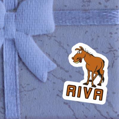 Cheval Autocollant Riva Cheval Autocollant Riva Image