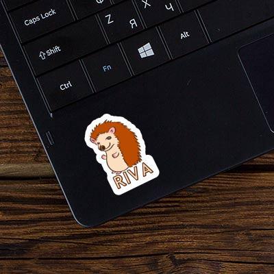 Riva Sticker Igel Notebook Riva Sticker Igel Gift package Image